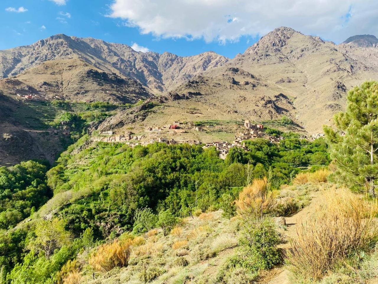Riad Imnane Lodge Tamgaist Стая снимка